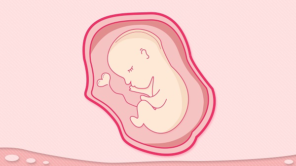 大连胎儿亲子鉴定什么时候做比较好？ 