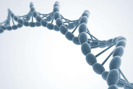 大连怎样做户籍DNA亲子鉴定，亲子鉴定应该怎么办理 