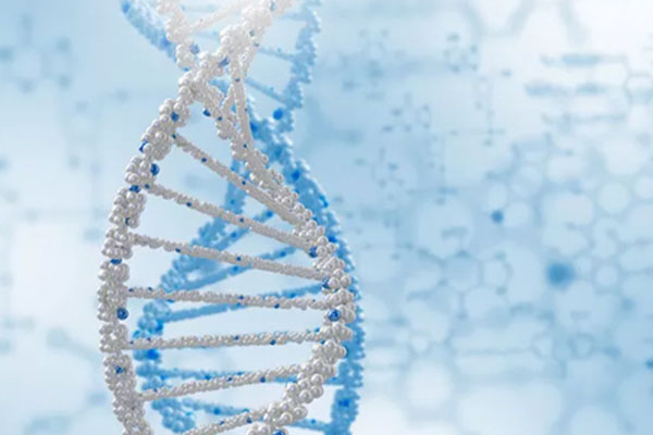 大连衣物中能测出DNA吗 